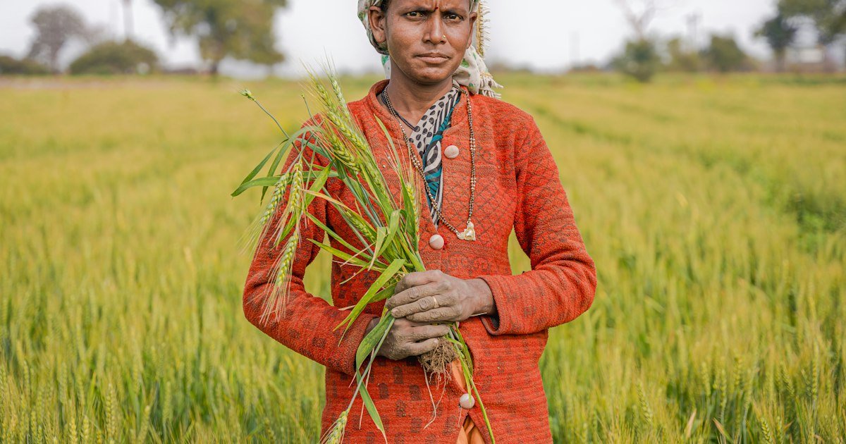 Khasra Girdawari crop inspection in an Indian agricultural field